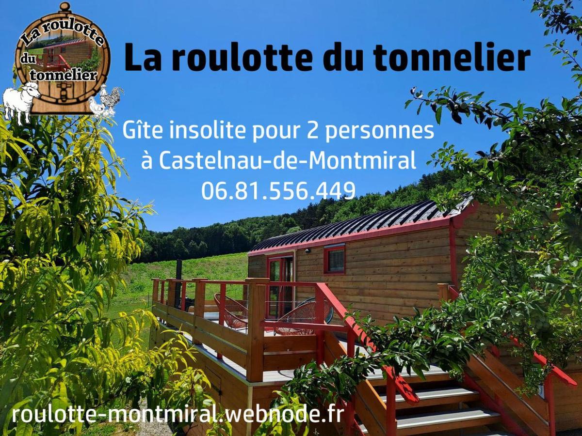 Вілла La Roulotte Du Tonnelier Castelnau-de-Montmiral Екстер'єр фото